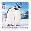 Emperor Penguin Aptenodytes forsteri  2023 Emperor Penguin postcard rate, sa 