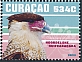 Crested Caracara Caracara plancus  2023 Birds 