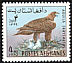 Golden Eagle Aquila chrysaetos  1970 Wild birds 
