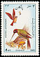 European Green Woodpecker Picus viridis  1985 Birds 