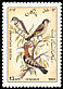 Eurasian Hoopoe Upupa epops  1985 Birds 