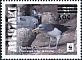 Chatham Albatross Thalassarche eremita  2019 Surcharge on WWF 2016 