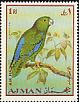 Dusky-billed Parrotlet Forpus modestus  1969 Birds 