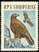 Golden Eagle Aquila chrysaetos  1963 Birds 