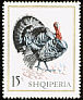 Wild Turkey Meleagris gallopavo  1967 Domestic fowl 8v set