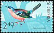 Eurasian Chaffinch Fringilla coelebs  1971 Birds 