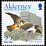 Eurasian Hobby Falco subbuteo  2002 Migrating birds 