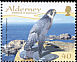 Peregrine Falcon Falco peregrinus  2008 Resident raptors 