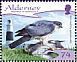 Eurasian Sparrowhawk Accipiter nisus  2008 Resident raptors Prestige booklet