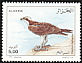 Osprey Pandion haliaetus  1998 Birds 