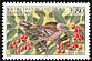 Eurasian Chaffinch Fringilla coelebs  1998 Nature protection 