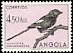 Magpie Shrike Lanius melanoleucus  1951 Birds 
