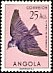 Violet-backed Starling Cinnyricinclus leucogaster  1951 Birds 