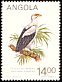 Palm-nut Vulture Gypohierax angolensis  1984 Birds 