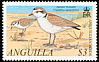 Snowy Plover Anarhynchus nivosus  2001 Anguillan birds 