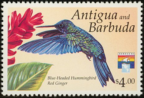 Blue headed Hummingbird stamps mainly images gallery format