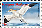 Northern Gannet Morus bassanus  1996 Seabirds Strip