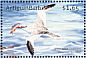 Red-billed Tropicbird Phaethon aethereus  2001 Marine life of the tropics 6v sheet