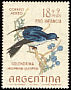 Chilean Swallow Tachycineta leucopyga  1964 Child welfare, birds 