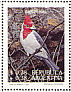 Red-crested Cardinal Paroaria coronata  1993 Paintings of birds by Axel Amuchastegui Sheet