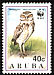 Burrowing Owl Athene cunicularia  1994 WWF 