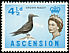 Brown Noddy Anous stolidus  1963 Definitives 