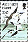 Ascension Frigatebird Fregata aquila  1987 Sea birds 