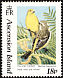 Yellow Canary Crithagra flaviventris  1993 Yellow Canary 