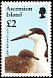 Sooty Tern Onychoprion fuscatus  1996 Birds 