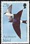 Western House Martin Delichon urbicum  1998 Migratory birds 