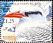 Red-billed Tropicbird Phaethon aethereus  2005 BirdLife International 