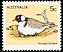 Hooded Plover Charadrius cucullatus  1978 Australian birds 