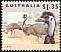 Emu Dromaius novaehollandiae  1994 Australian wildlife 
