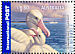 Snowy Albatross Diomedea exulans  2007 Threatened wildlife Prestige booklet