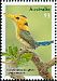 Yellow-billed Kingfisher Syma torotoro