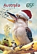 Laughing Kookaburra Dacelo novaeguineae Laughing Kookaburra Dacelo novaeguineae