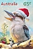 Laughing Kookaburra Dacelo novaeguineae Laughing Kookaburra Dacelo novaeguineae