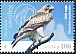 Little Eagle Hieraaetus morphnoides Little Eagle Hieraaetus morphnoides