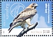 Little Eagle Hieraaetus morphnoides Little Eagle Hieraaetus morphnoides
