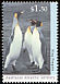 King Penguin Aptenodytes patagonicus  1993 Antarctic wildlife 