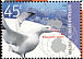 Snowy Albatross Diomedea exulans  2002 Australian Antarctic research 4v set