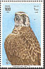 Gyrfalcon Falco rusticolus  1980 Falconry Sheet