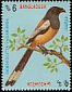 Rufous Treepie Dendrocitta vagabunda  1994 Birds p 13Â¾x14Â½