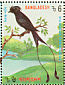 Greater Racket-tailed Drongo Dicrurus paradiseus  1994 Birds Sheet, p 14Â½