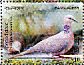 Spotted Dove Spilopelia chinensis  2010 Birds Sheet