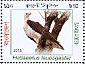 White-bellied Sea Eagle Icthyophaga leucogaster  2011 Birds of the Sundarbans Sheet