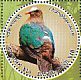 Common Emerald Dove Chalcophaps indica  2016 Birds Sheet