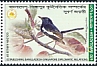 Oriental Magpie-Robin Copsychus saularis  2022 Joint issue with Singapore 