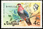 Scaly-naped Pigeon Patagioenas squamosa  1977 Overprint BARBUDA on Antigua 1976.01 