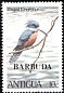Ringed Kingfisher Megaceryle torquata  1980 Overprint BARBUDA on Antigua 1980.01 
